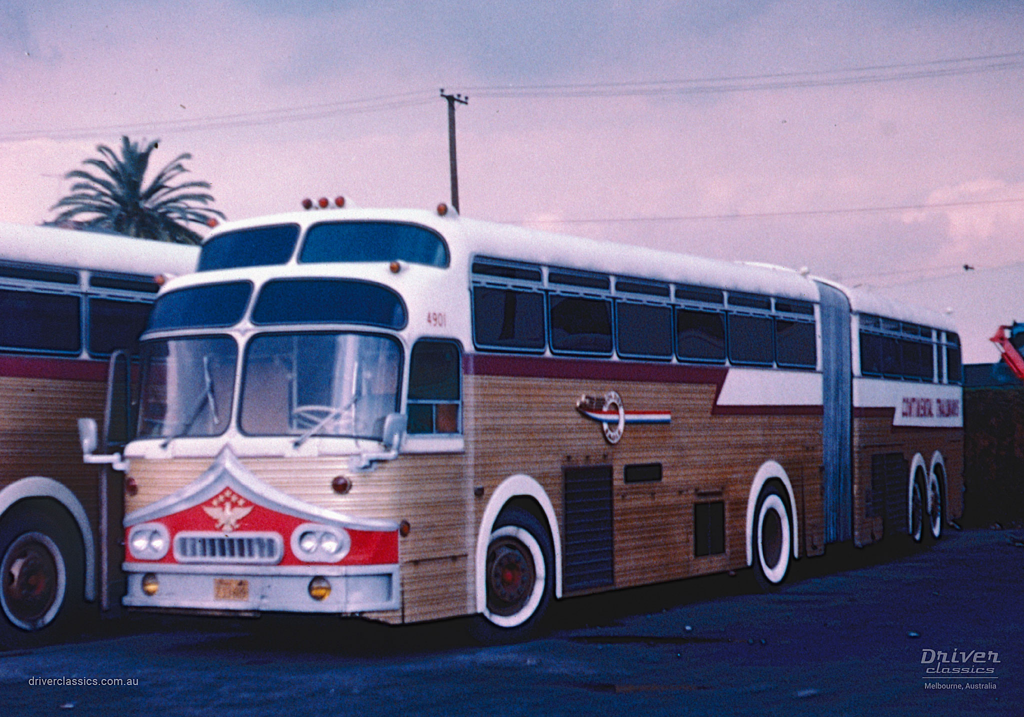 Super Golden Eagle, 1959 model, articualted bus. Photo Taken by Bob Redden.