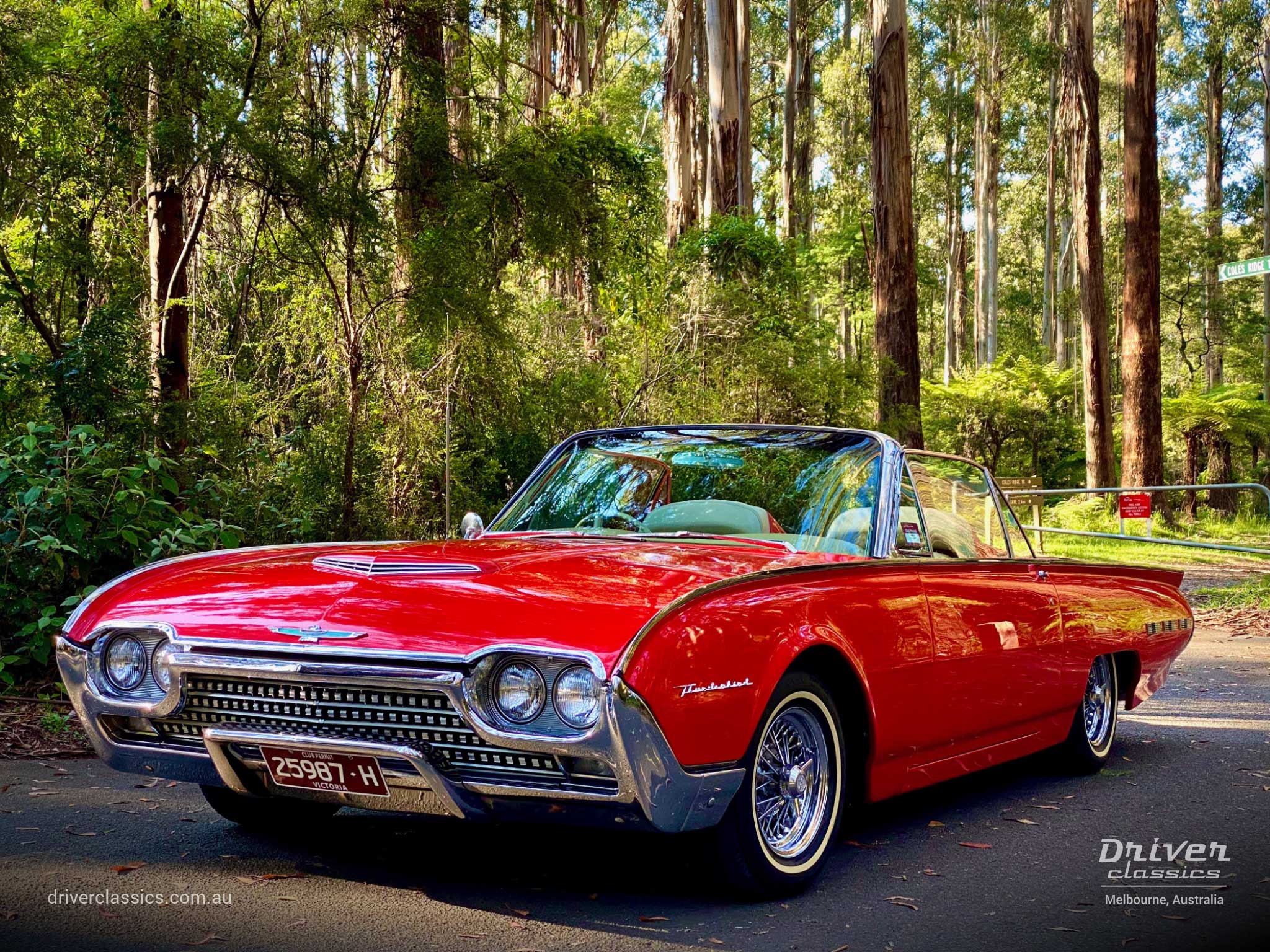 Ford Thunderbird Roadster 1962 version, front and side, Dandenong Ranges, Grants Picnic Ground, Photo taken Dec 2019