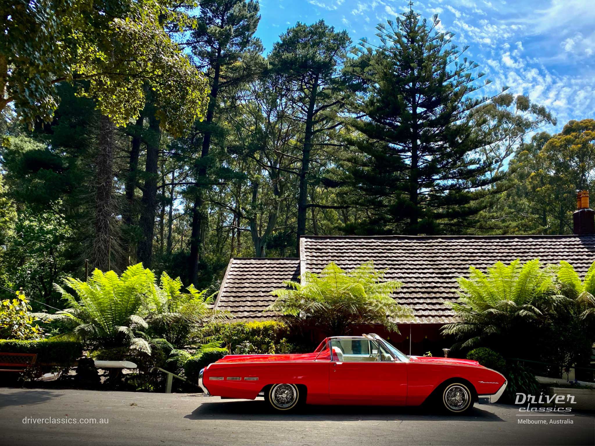 Ford Thunderbird Convertible 1962 version, side profile, Dandenong Ranges, Cuckoo Restaurant, Photo taken Dec 2019