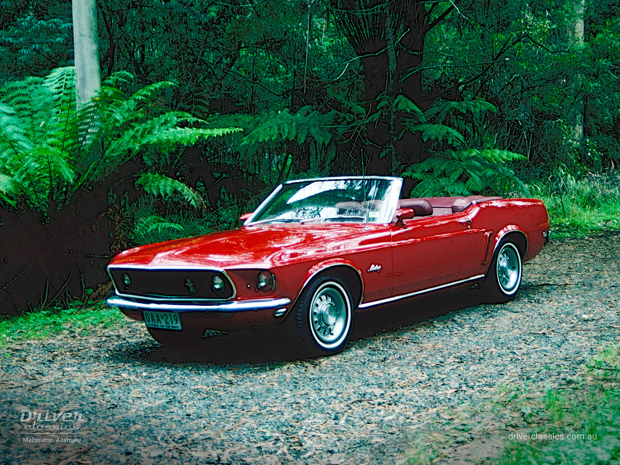 Ford Mustang (1969 model) Convertible, font and left side, Photo taken in the Dandenong Ranges VIC in 1998.