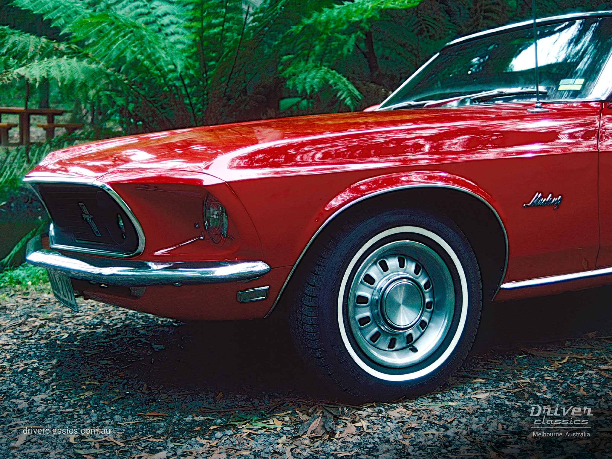 Ford Mustang (1969 model) Convertible, Close up of Front Left, Photo taken in the Dandenong Ranges VIC in 1998.