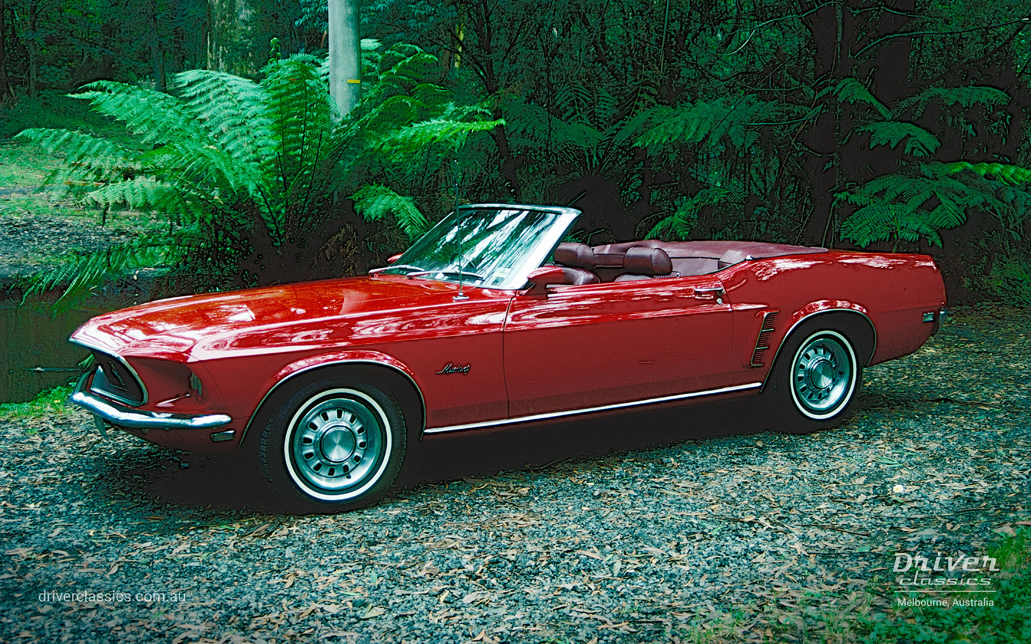 Ford Mustang (1969 model) Convertible, Left side profile and Front, Photo taken in the Dandenong Ranges VIC in 1998.