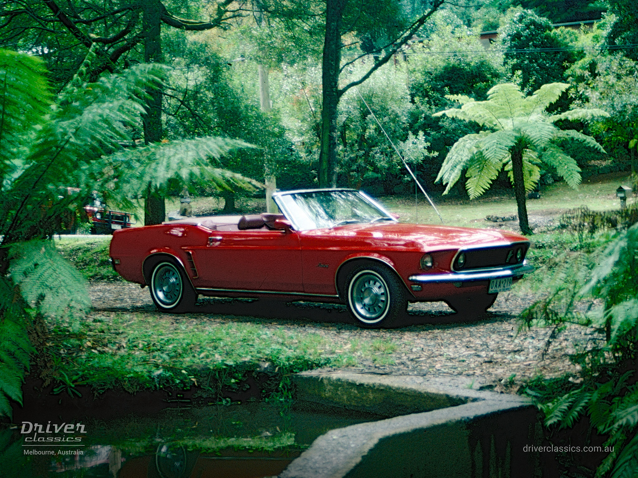 Ford Mustang (1969 model) Convertible, right side and front, Photo taken in the Dandenong Ranges VIC in 1998.